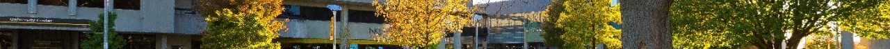 NKU quad in fall