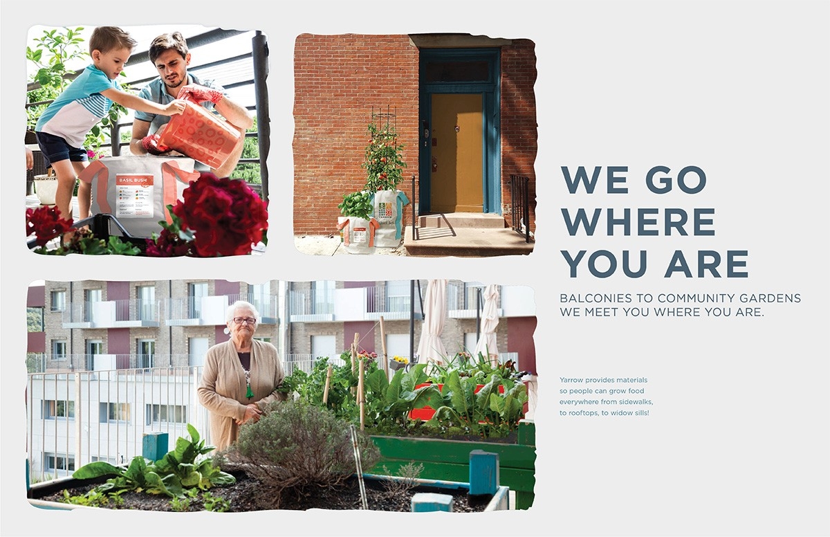 This is test alt text