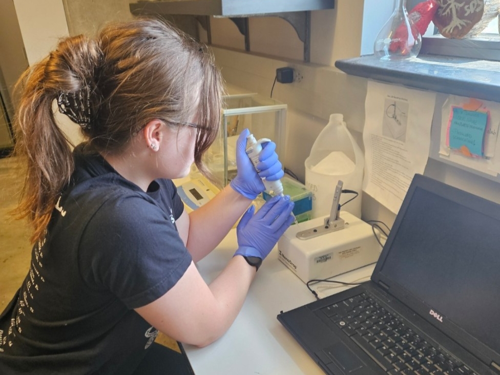 NKU Biological Sciences major conducts research in the lab.