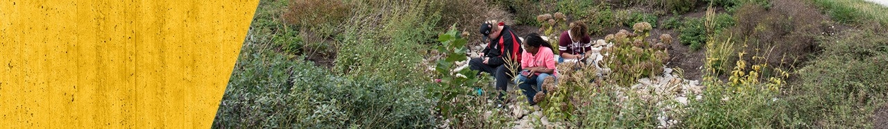 Students studying outdoors.