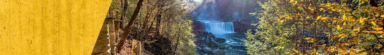 Waterfall in a forest.