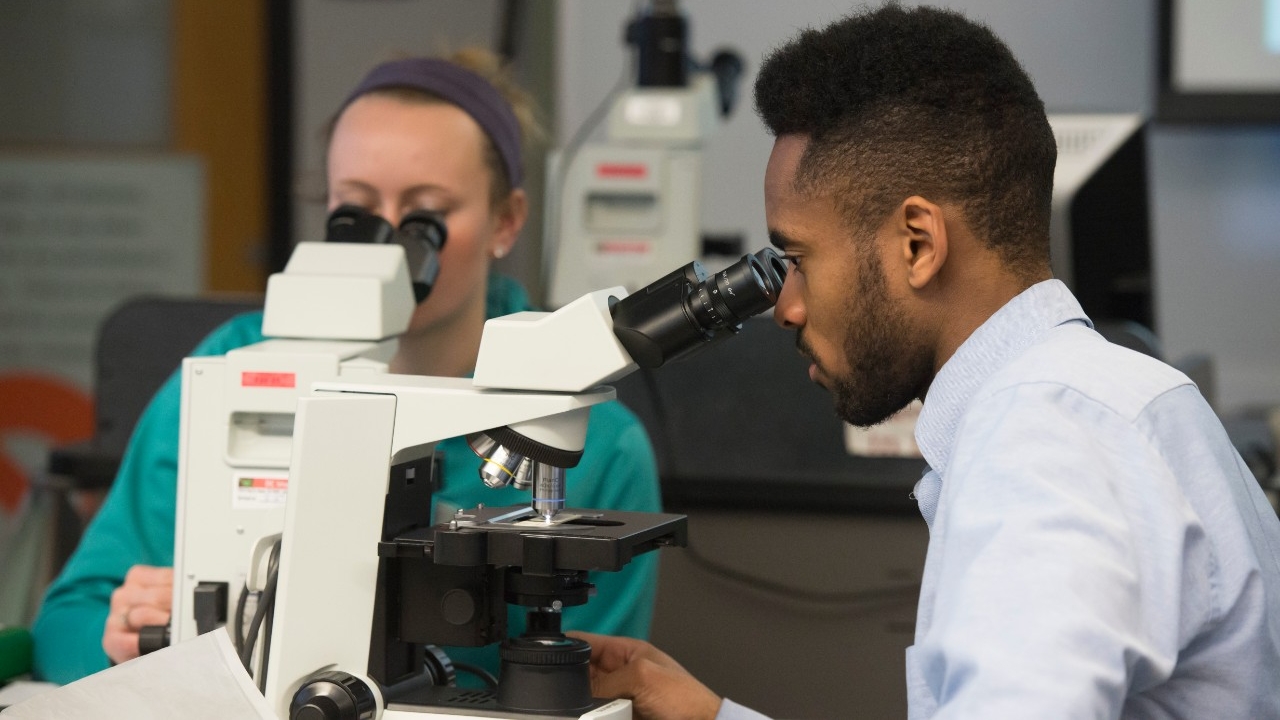 Students looking through microscopes in a lab