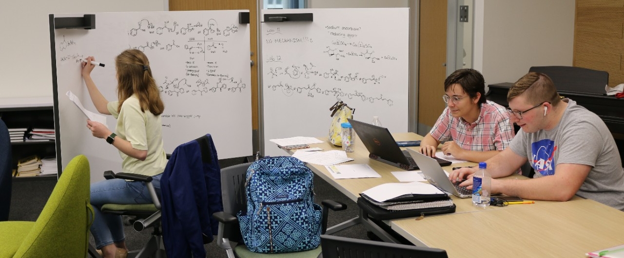 students in honors lounge