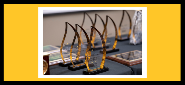 A table of NKU awards.